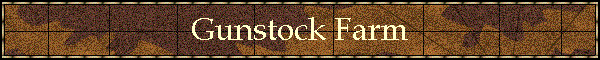 Gunstock Farm